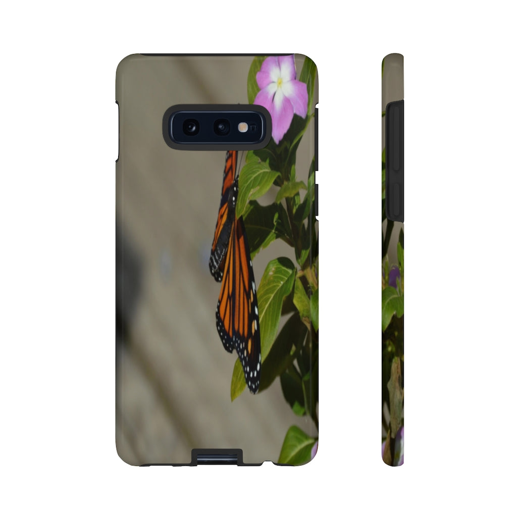 Monarch Butterfly Mobile Phone Case for iPhone and Samsung Galaxy