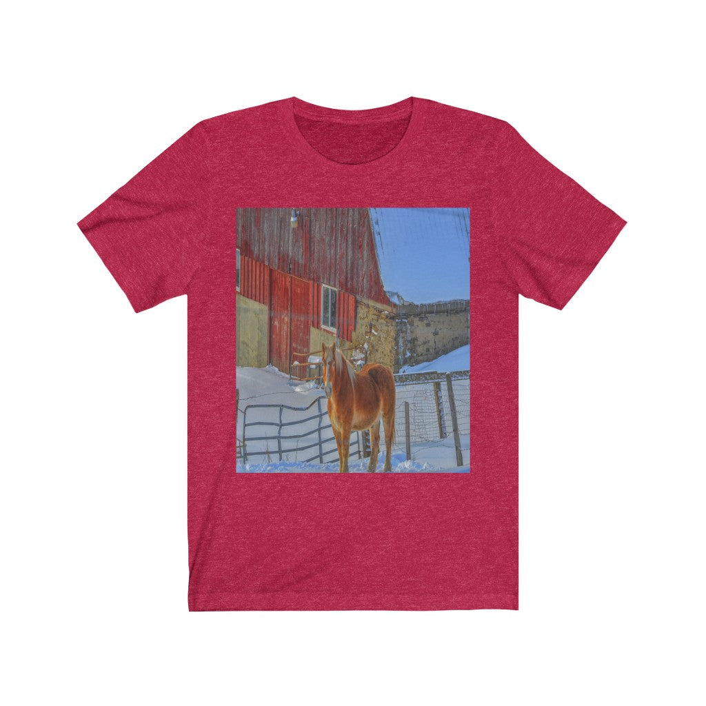 Haflinger Horse Unisex Jersey Short Sleeve Tee