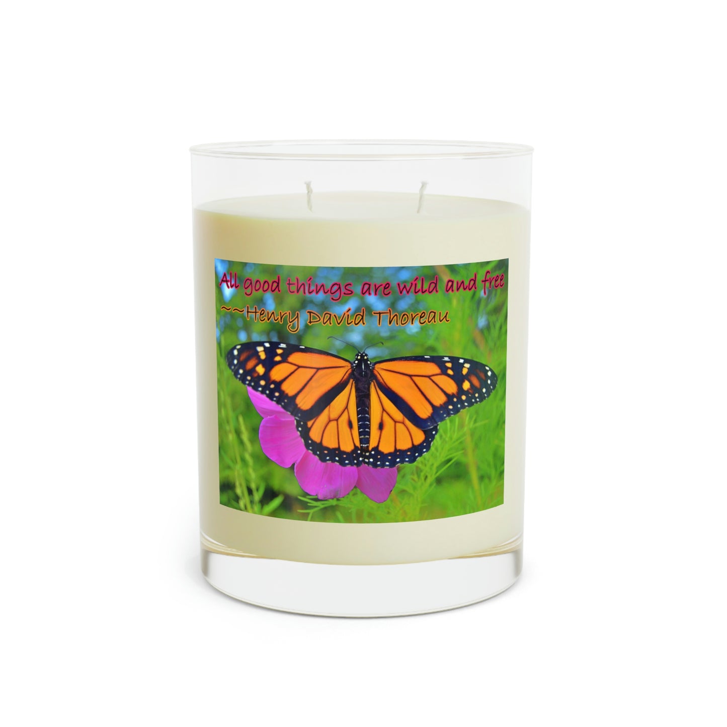 Double-wick Scented Candle - Full Glass, 11oz--Marco the Monarch Butterfly photo