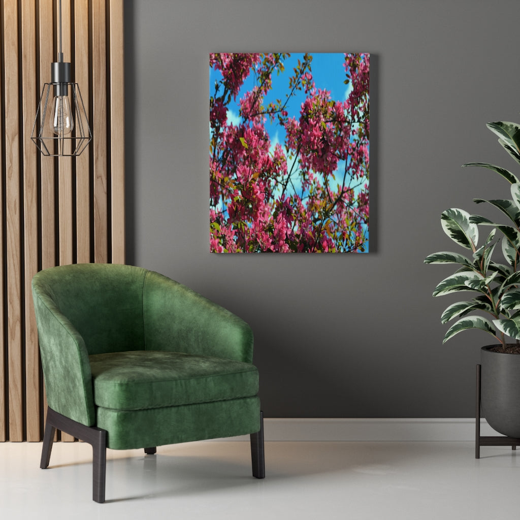 Flowering Crabapple Stretched Canvas