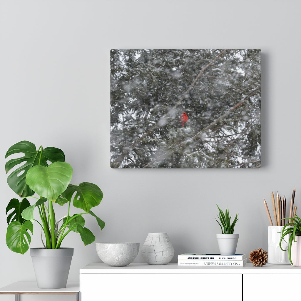 Hidden Cardinal on Stretched Canvas