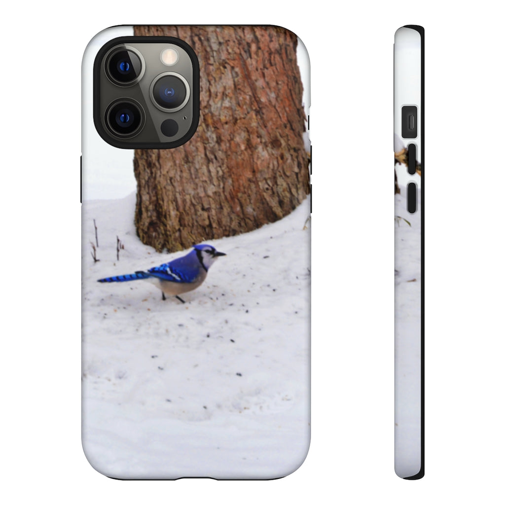 Blue Jay on the Ground Mobile Phone Case for iPhone and Samsung Galaxy