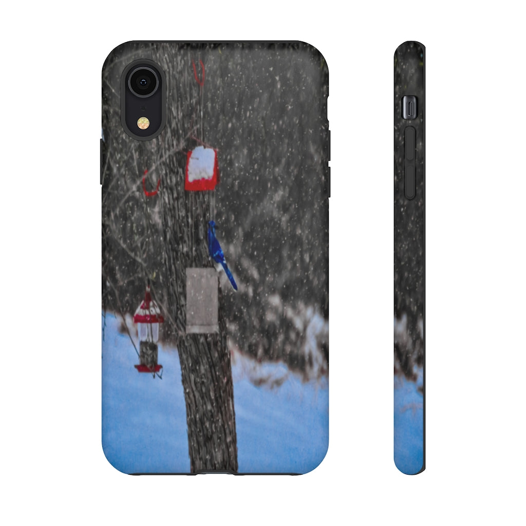 Blue Jay in Winter Mobile Phone Case for iPhone and Samsung Galaxy