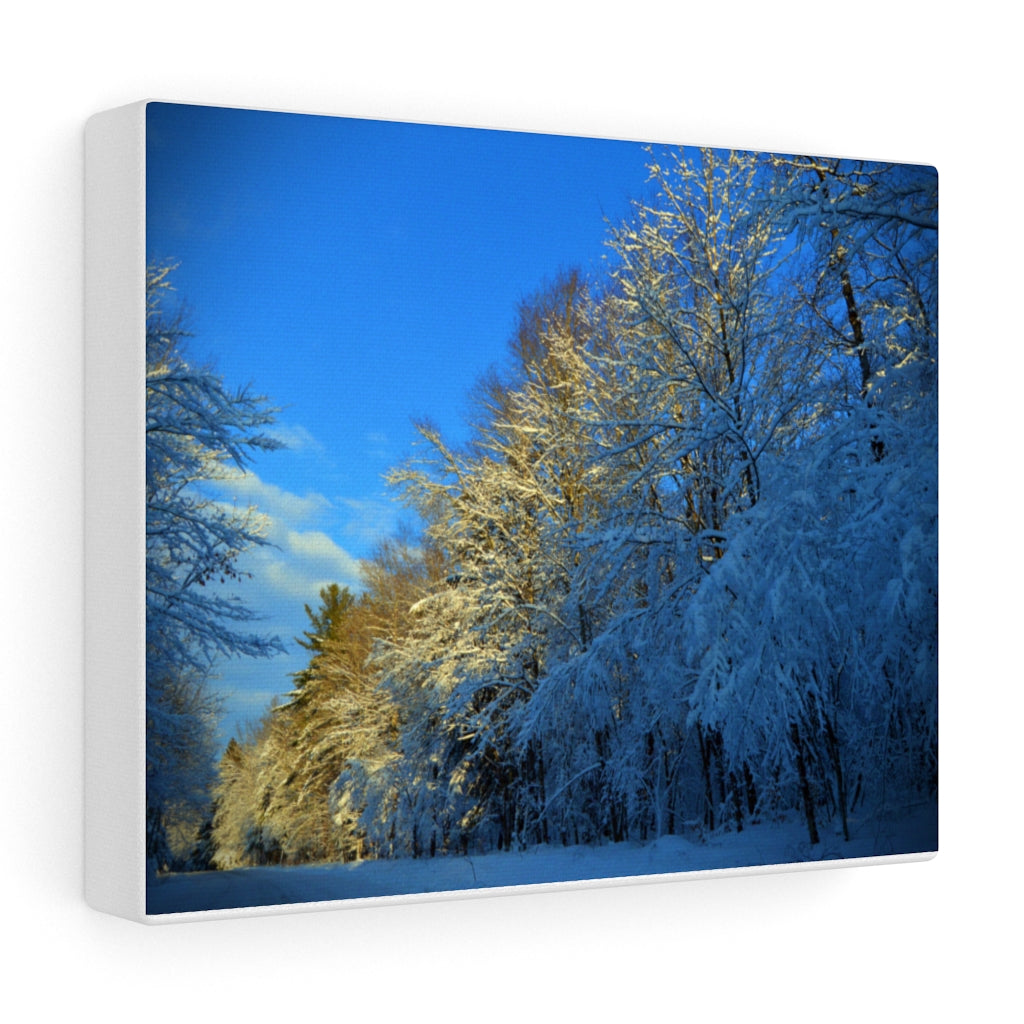 Winter Wonderland Stretched Canvas