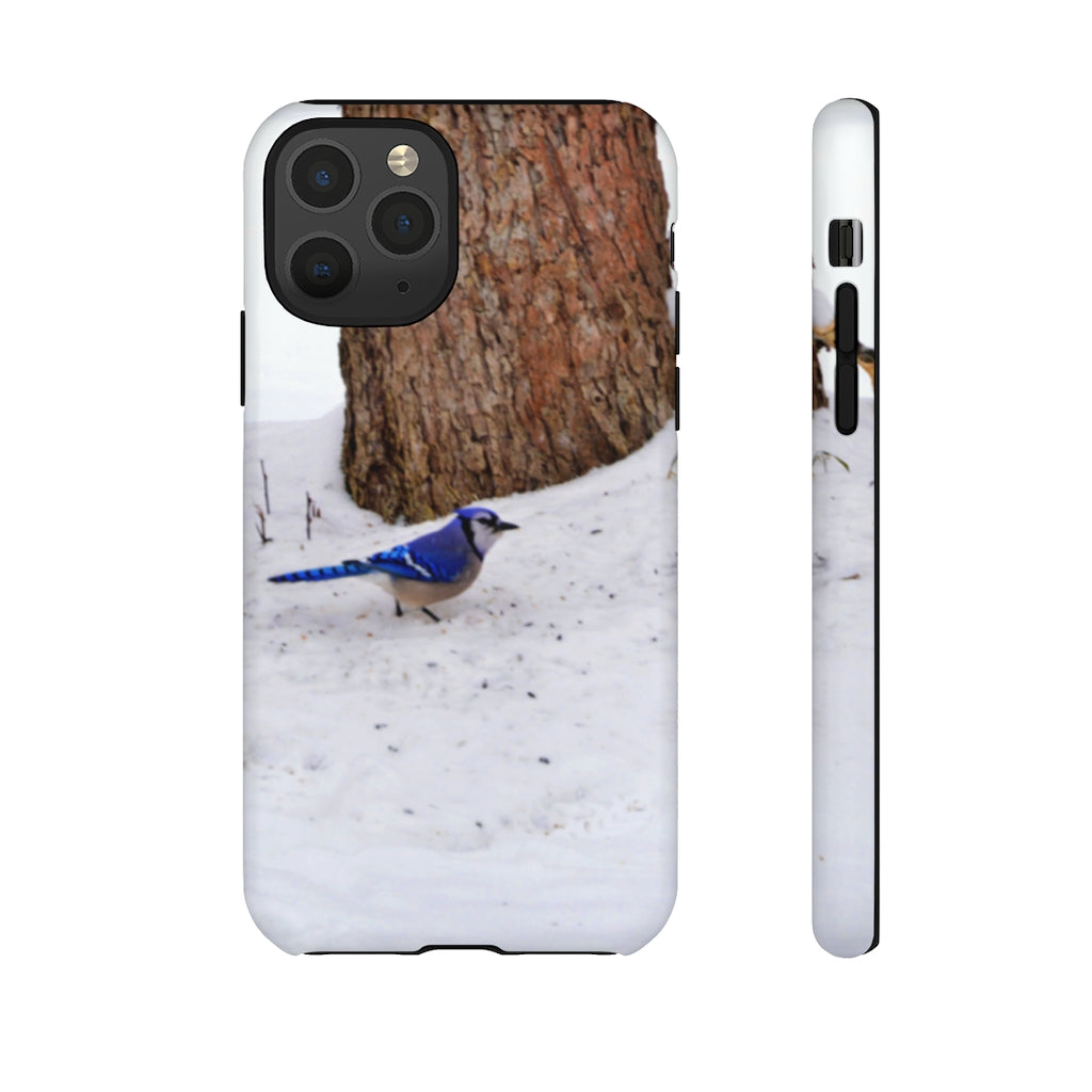 Blue Jay on the Ground Mobile Phone Case for iPhone and Samsung Galaxy