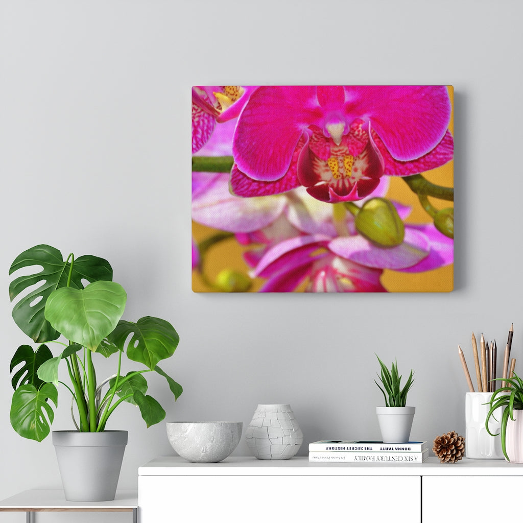 Orchid Stretched Canvas