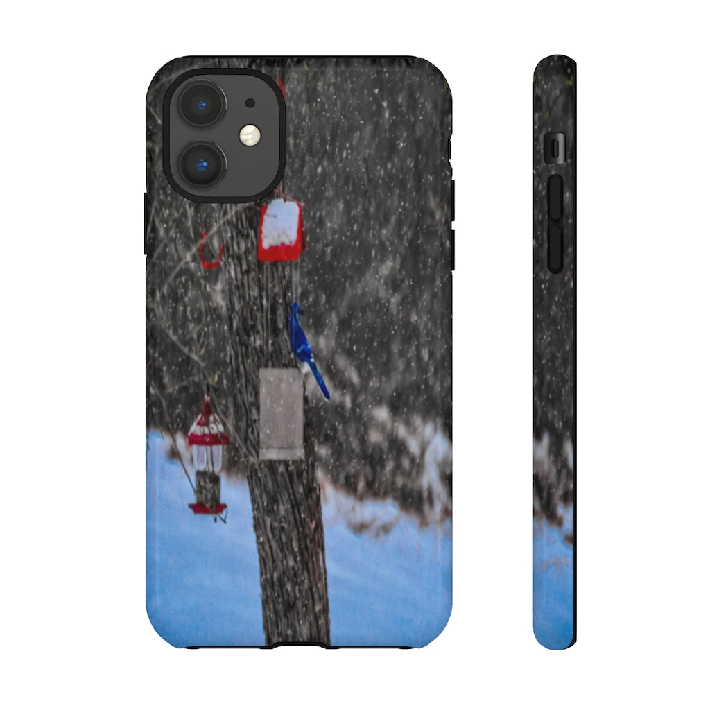 Blue Jay in Winter Mobile Phone Case for iPhone and Samsung Galaxy