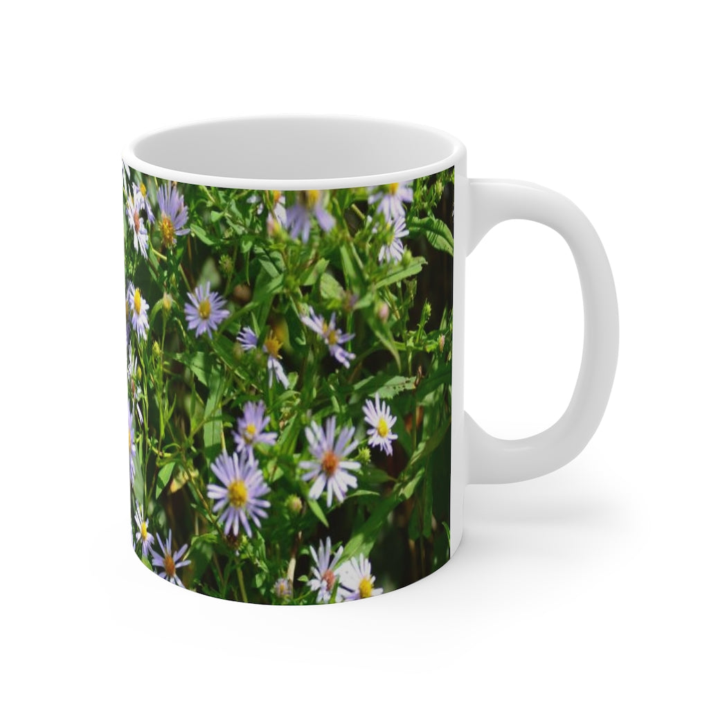 Wild Aster Mug 11oz