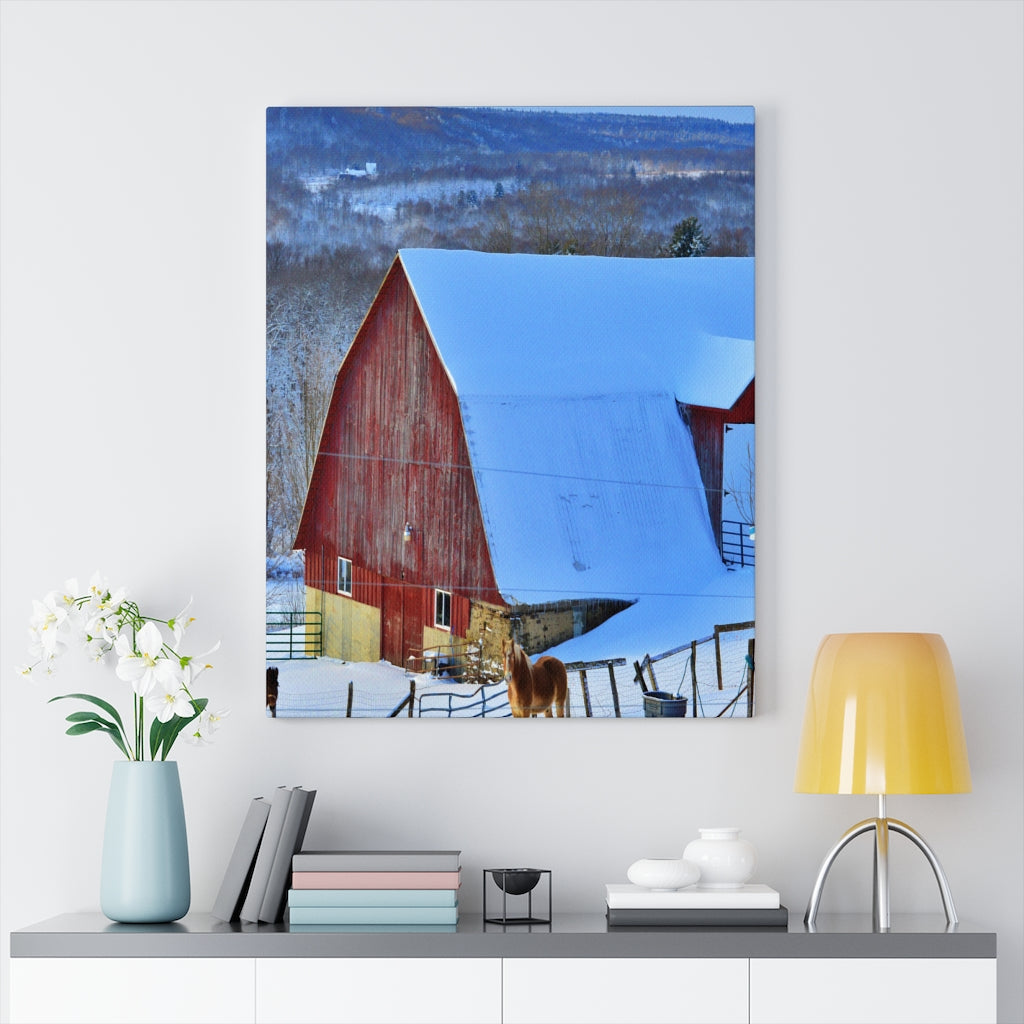 Barns and Horses Stretched Canvas