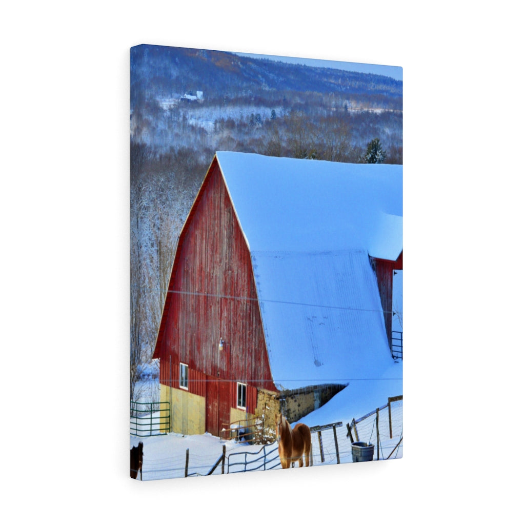 Barns and Horses Stretched Canvas