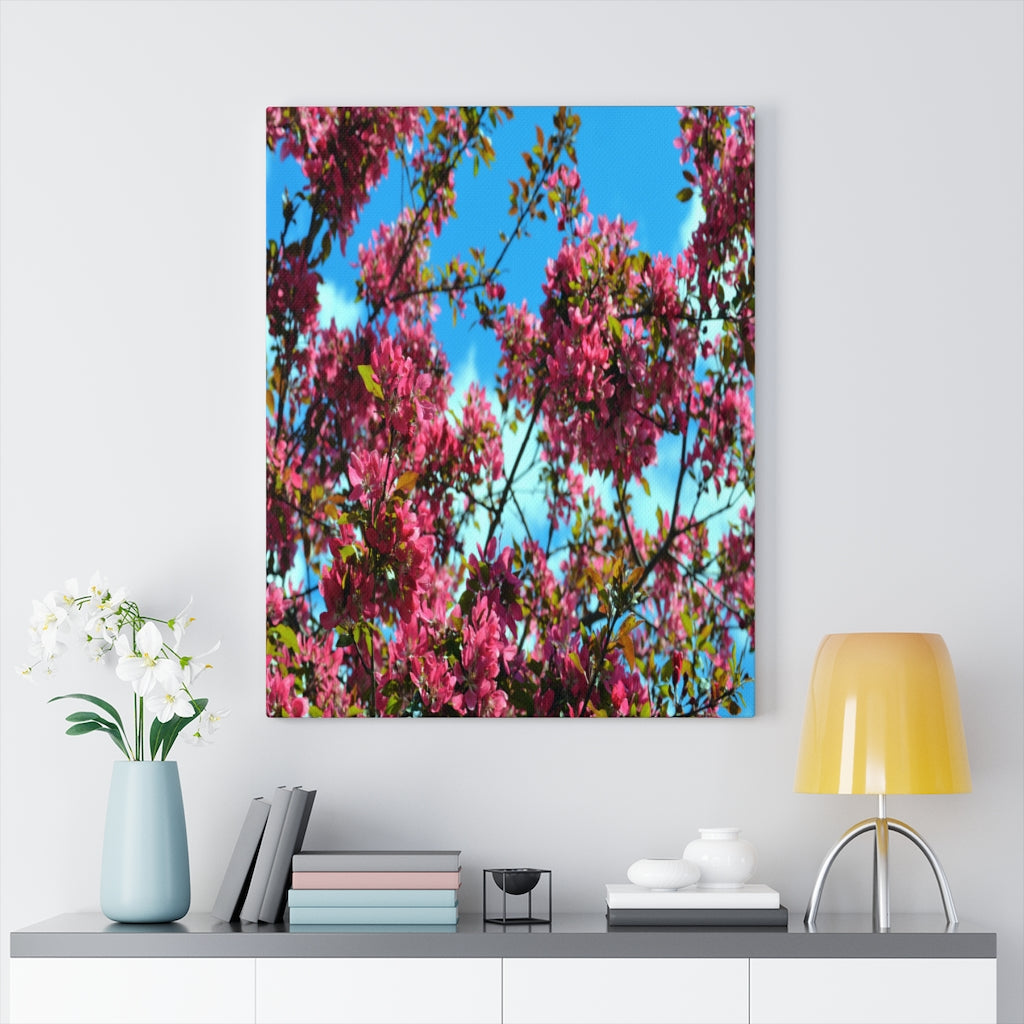 Flowering Crabapple Stretched Canvas