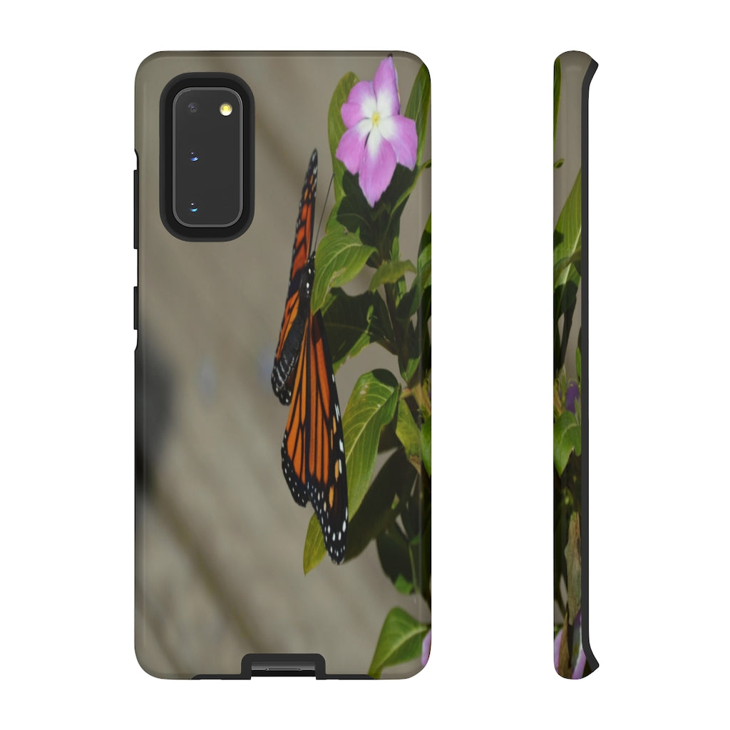 Monarch Butterfly Mobile Phone Case for iPhone and Samsung Galaxy