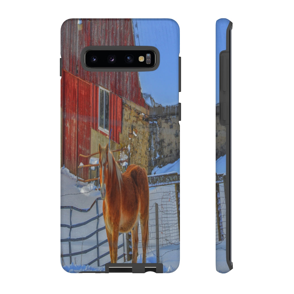 Haflinger in Winter Mobile Phone Case for iPhone and Samsung Galaxy