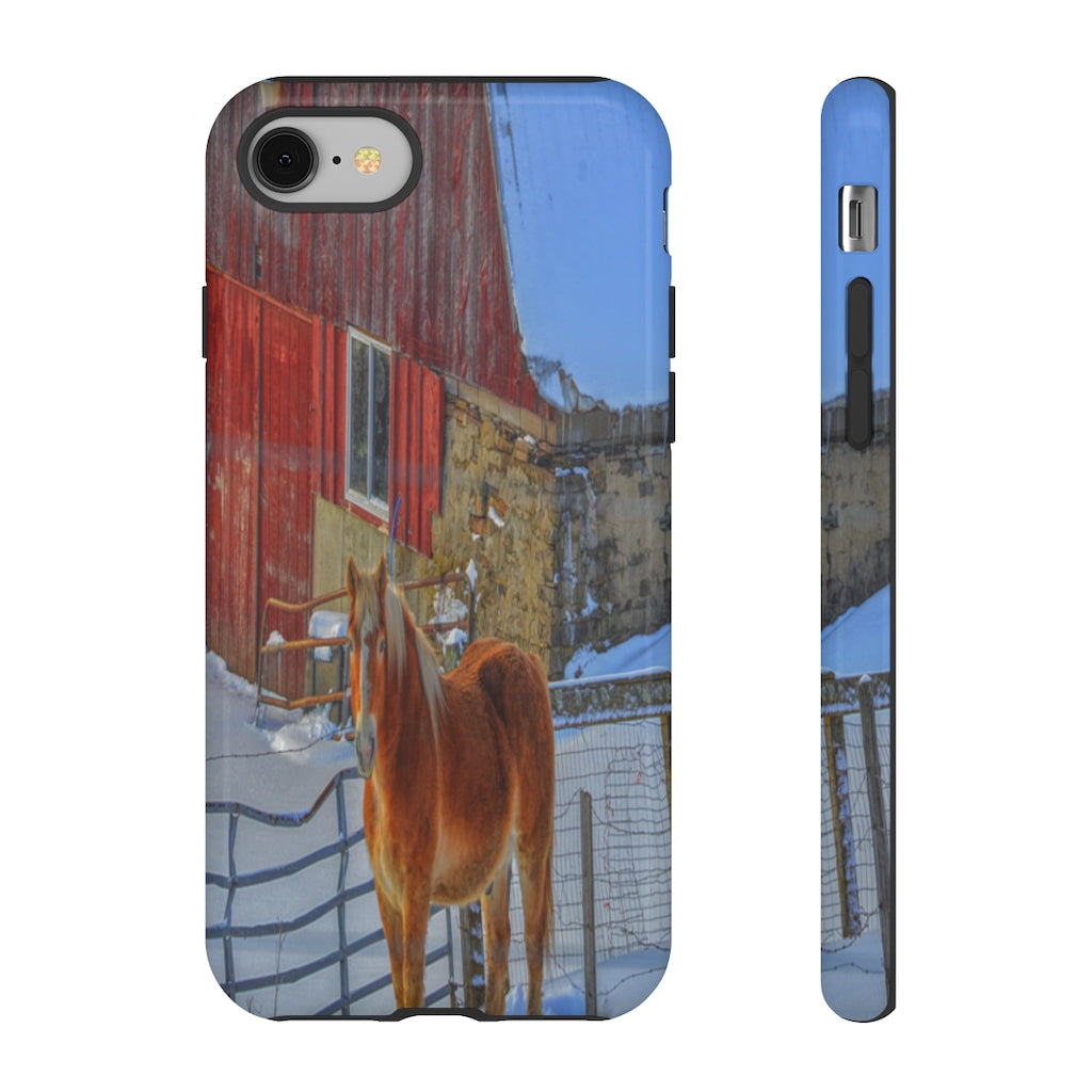 Haflinger in Winter Mobile Phone Case for iPhone and Samsung Galaxy