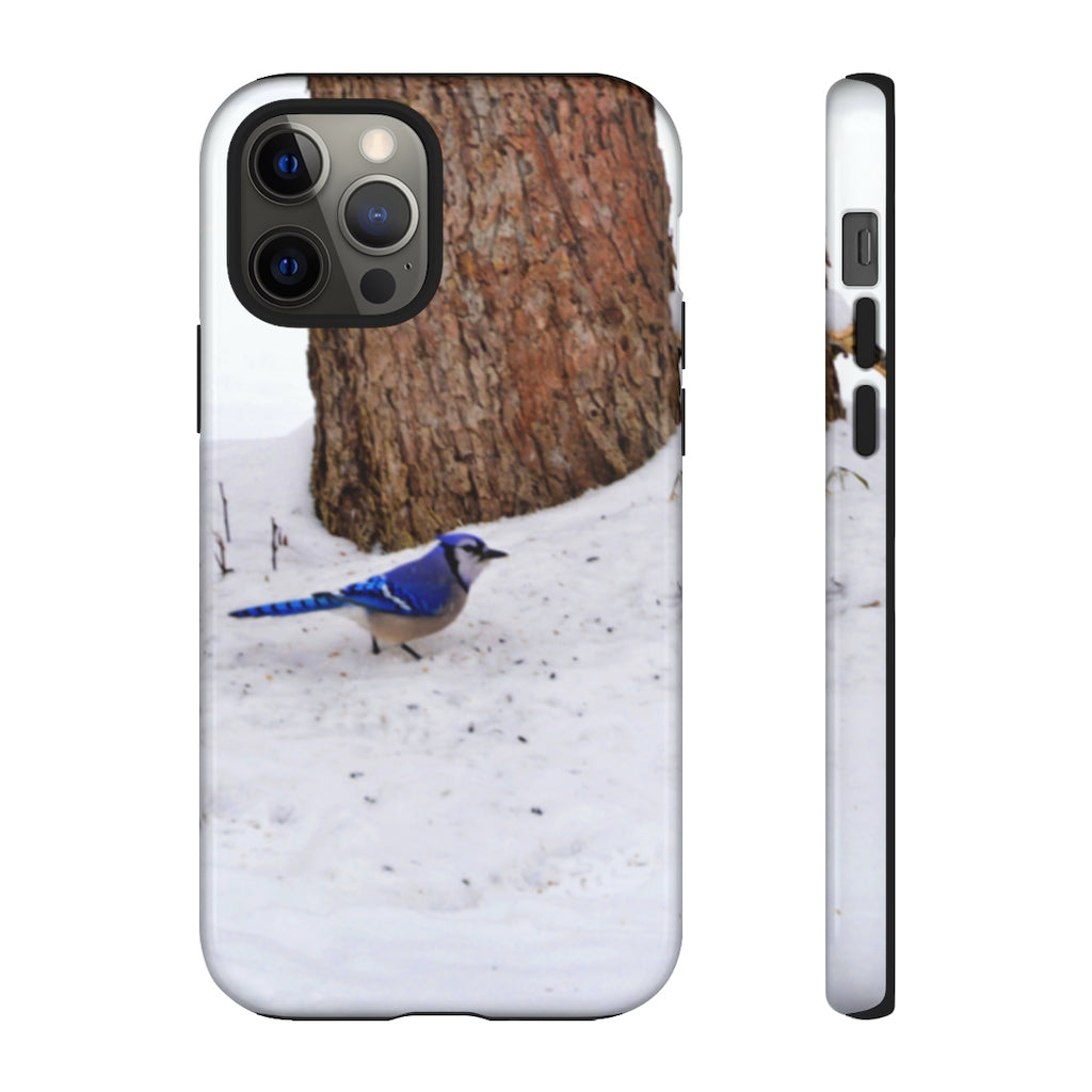 Blue Jay on the Ground Mobile Phone Case for iPhone and Samsung Galaxy