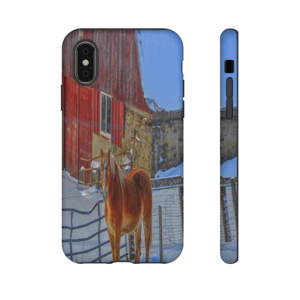 Haflinger in Winter Mobile Phone Case for iPhone and Samsung Galaxy