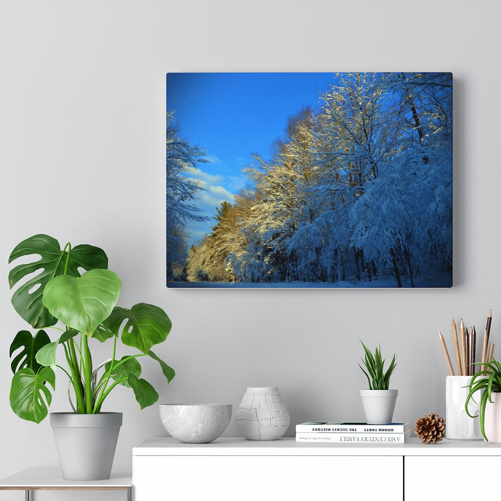 Winter Wonderland Stretched Canvas