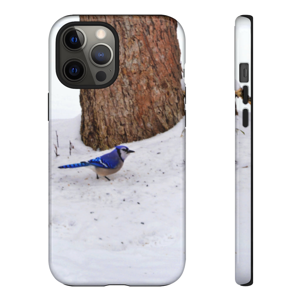 Blue Jay on the Ground Mobile Phone Case for iPhone and Samsung Galaxy