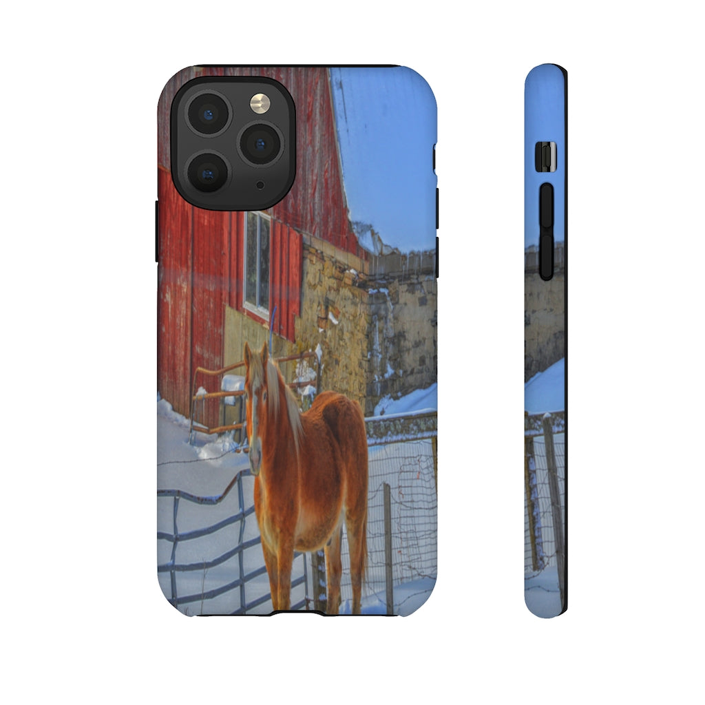 Haflinger in Winter Mobile Phone Case for iPhone and Samsung Galaxy