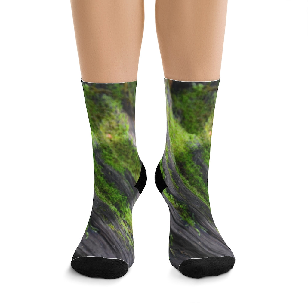 Mossy Log Socks