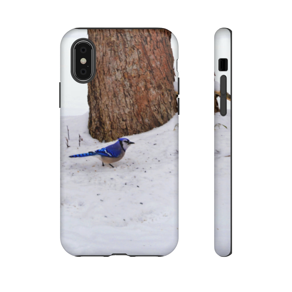 Blue Jay on the Ground Mobile Phone Case for iPhone and Samsung Galaxy