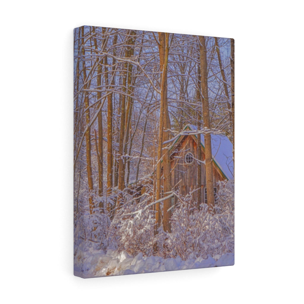 Cabin in the Woods Stretched Canvas