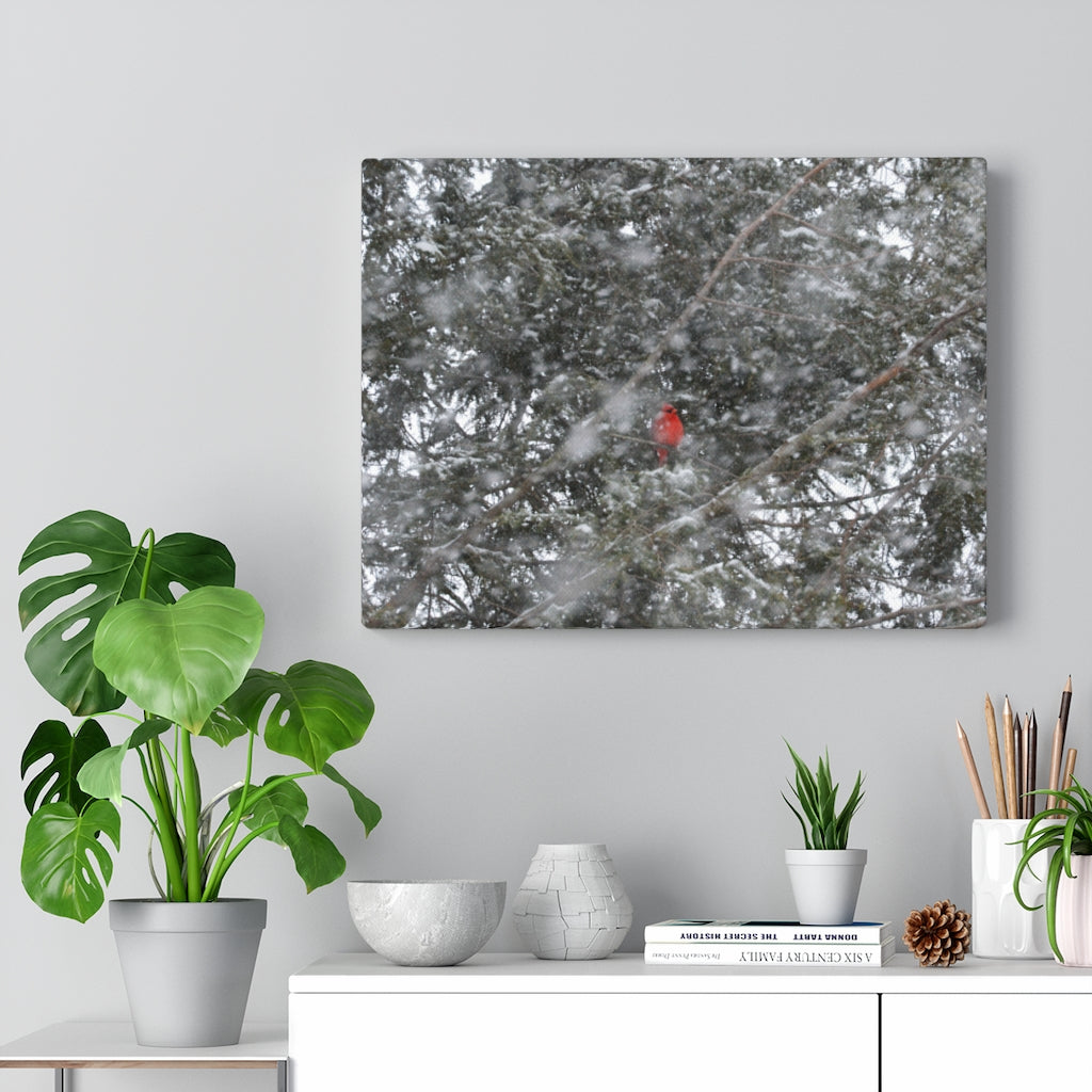 Hidden Cardinal on Stretched Canvas