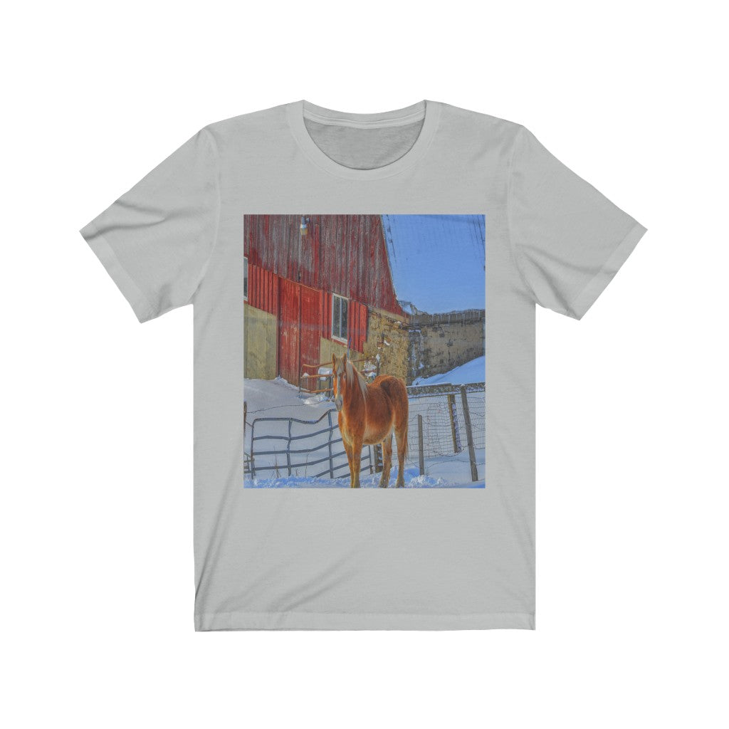 Haflinger Horse Unisex Jersey Short Sleeve Tee