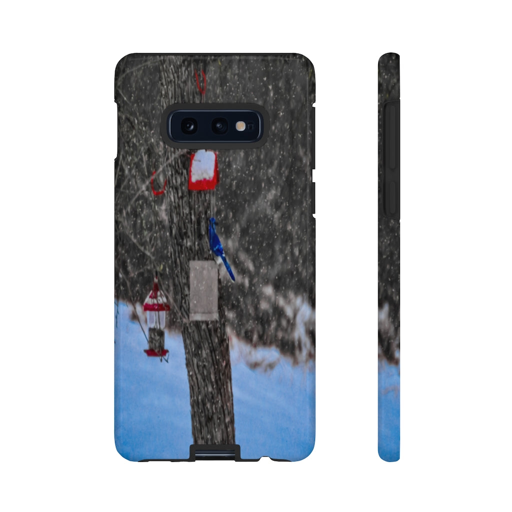 Blue Jay in Winter Mobile Phone Case for iPhone and Samsung Galaxy