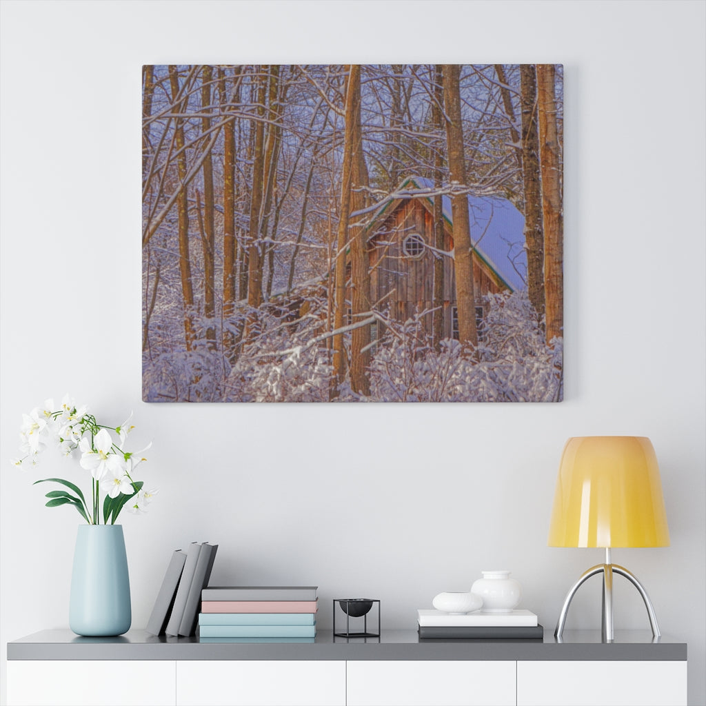 Cabin in the Woods Stretched Canvas