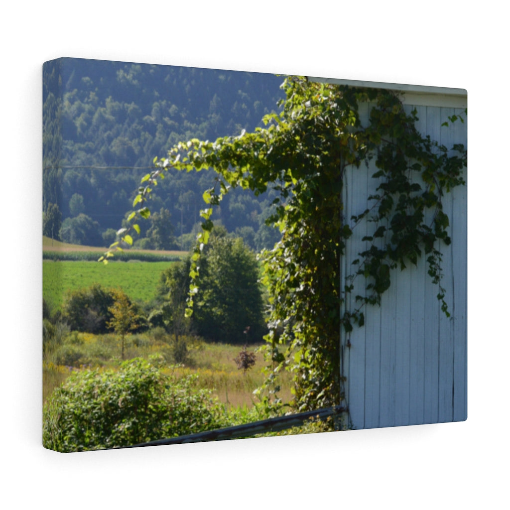 Ivy Barn Stretched Canvas