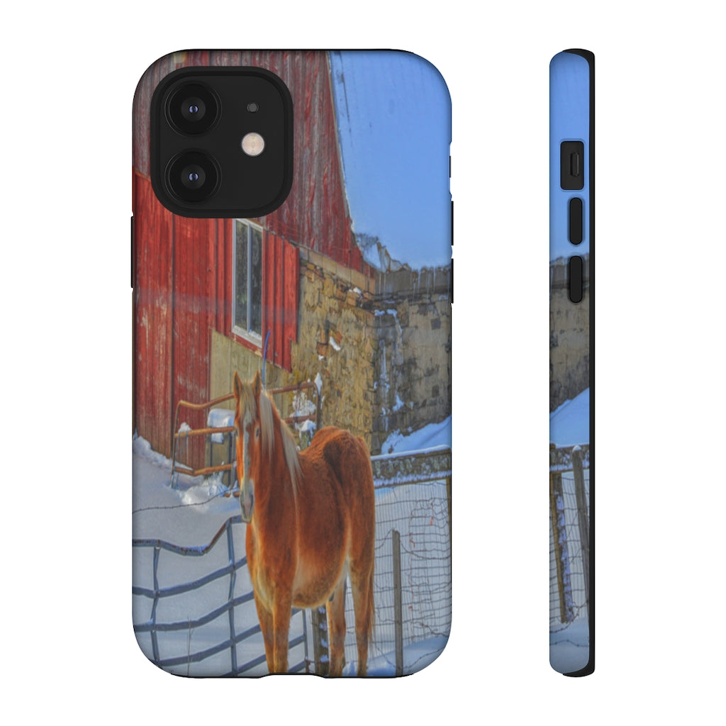 Haflinger in Winter Mobile Phone Case for iPhone and Samsung Galaxy