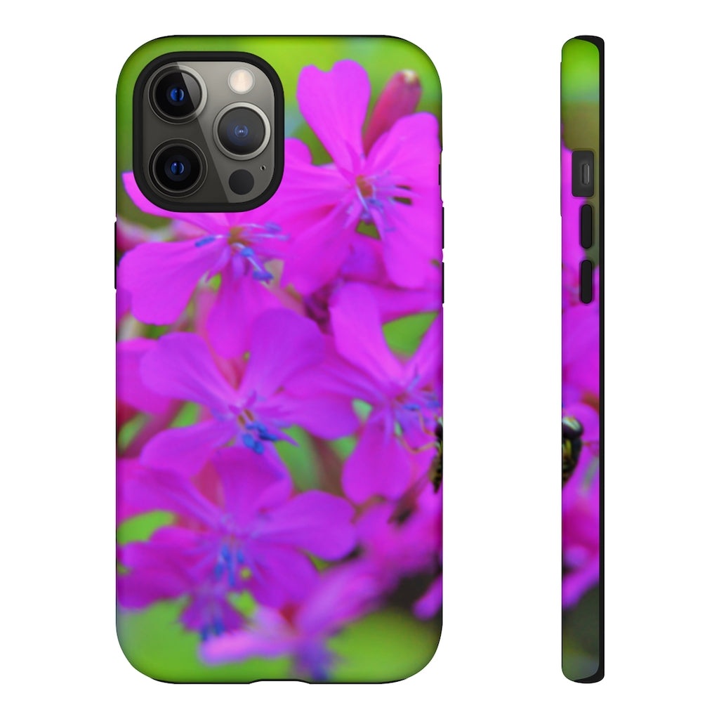 Sweet William Catchfly Mobile Phone Case for iPhone and Samsung Galaxy