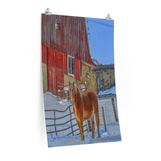 Haflinger Horse Premium Matte vertical poster