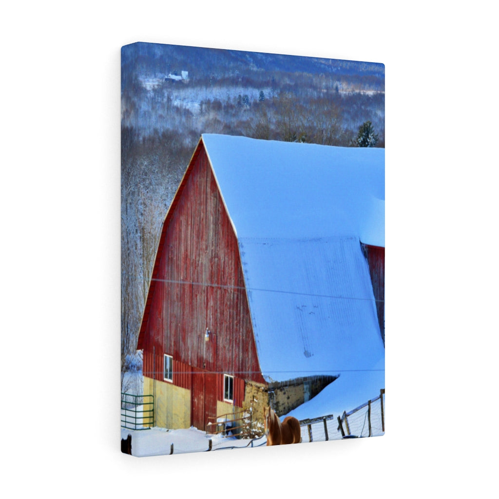 Barns and Horses Stretched Canvas