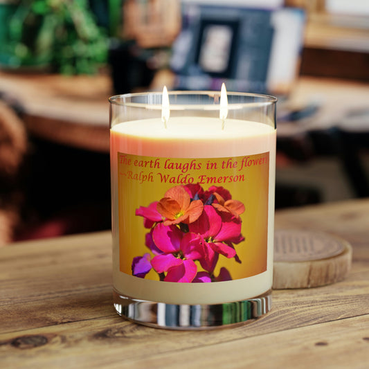 Double-wick Scented Candle - Full Glass, 11oz--Wallflower photo