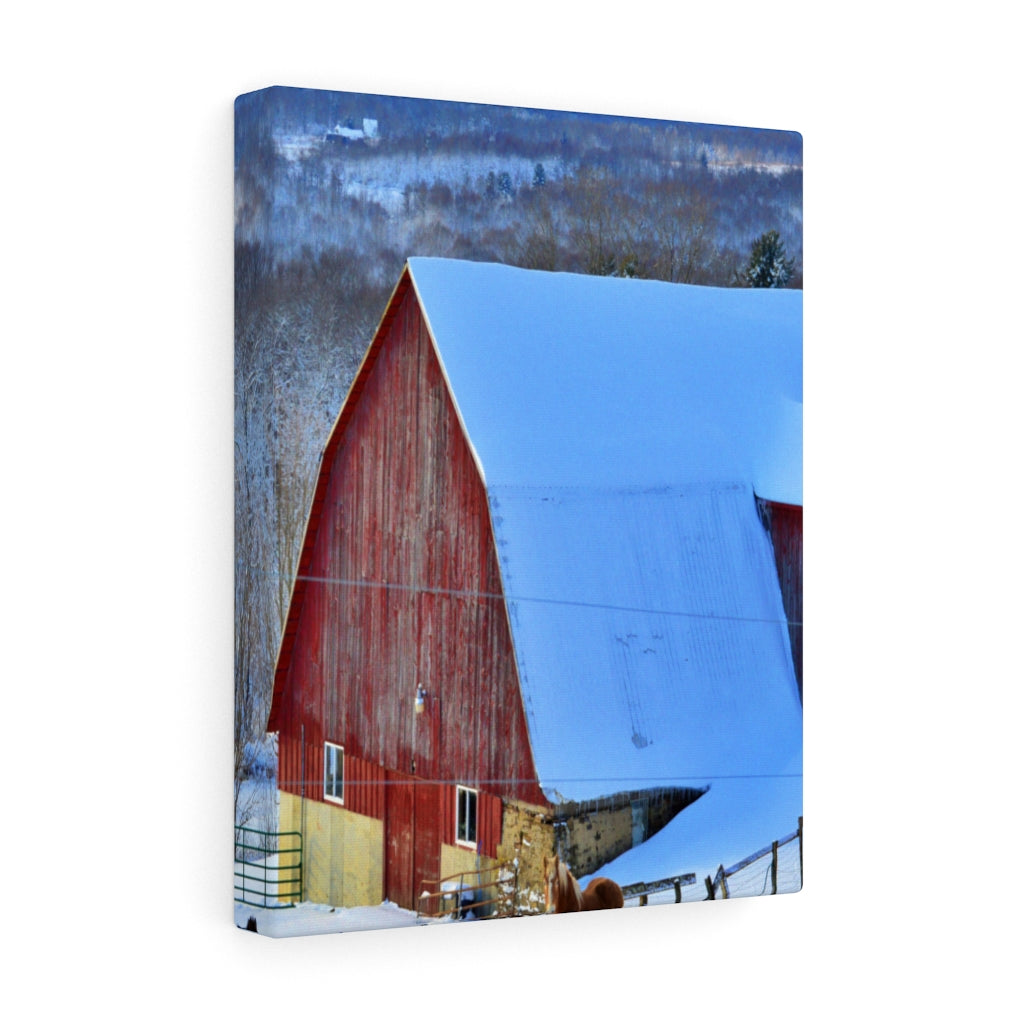 Barns and Horses Stretched Canvas