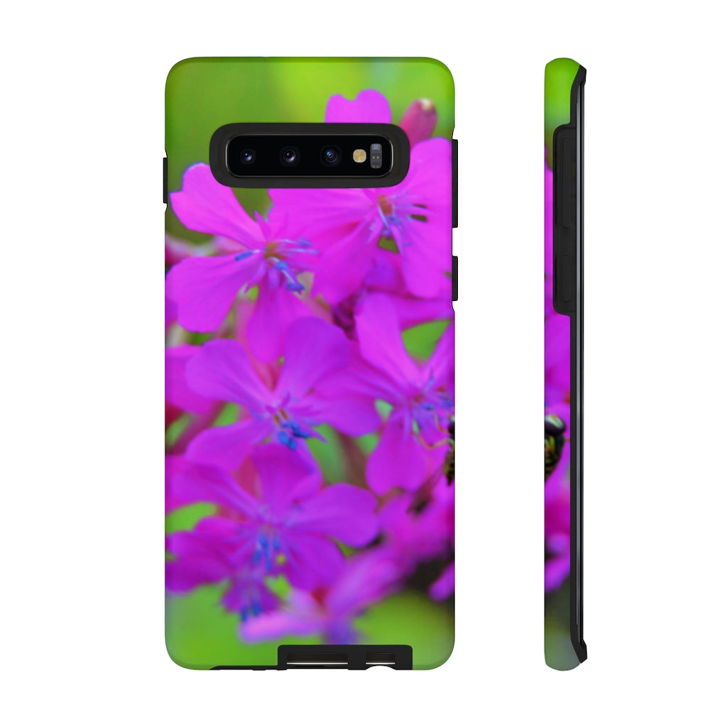 Sweet William Catchfly Mobile Phone Case for iPhone and Samsung Galaxy