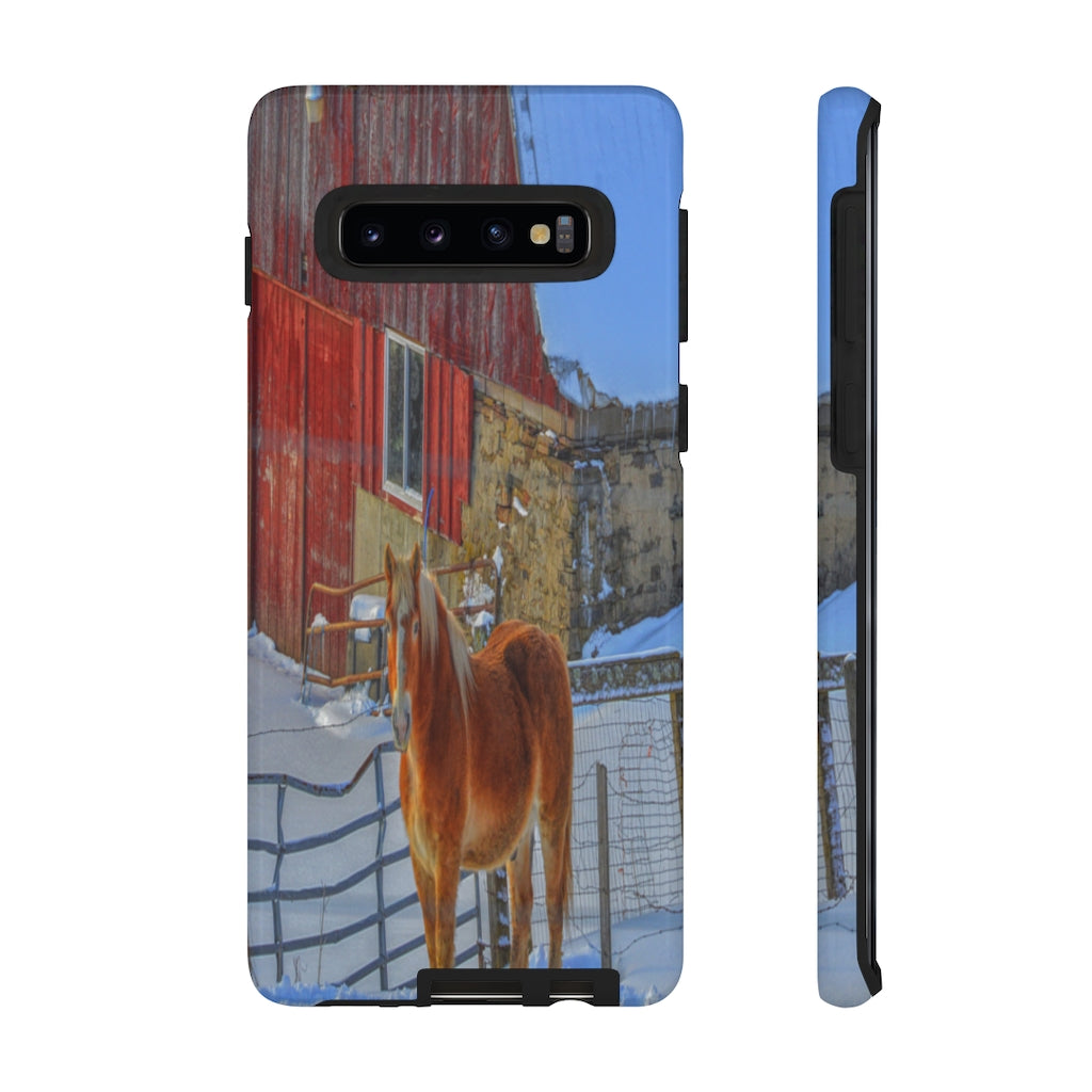 Haflinger in Winter Mobile Phone Case for iPhone and Samsung Galaxy