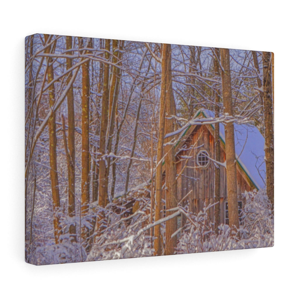 Cabin in the Woods Stretched Canvas