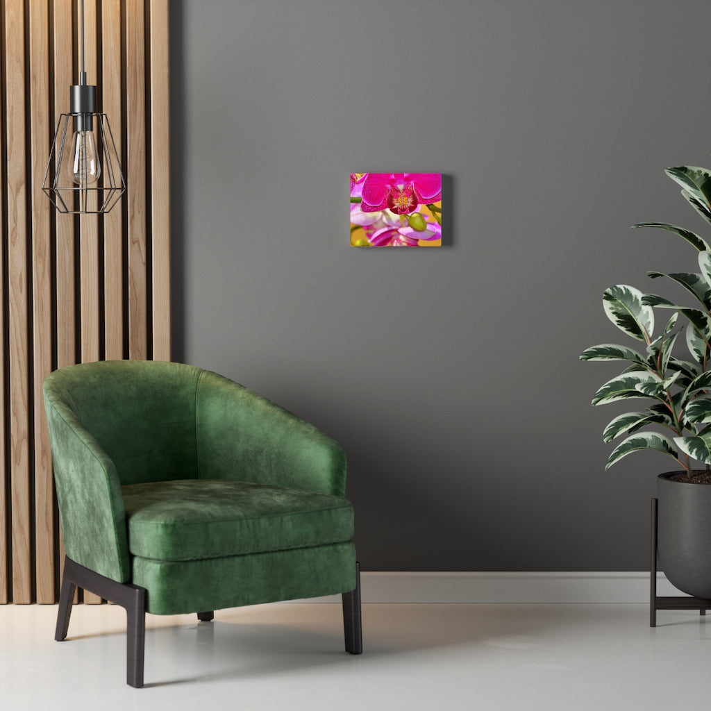 Orchid Stretched Canvas