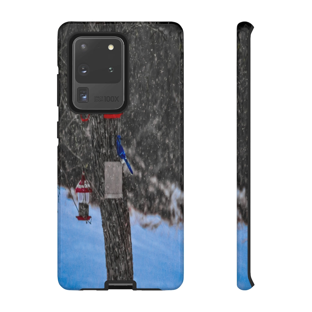 Blue Jay in Winter Mobile Phone Case for iPhone and Samsung Galaxy