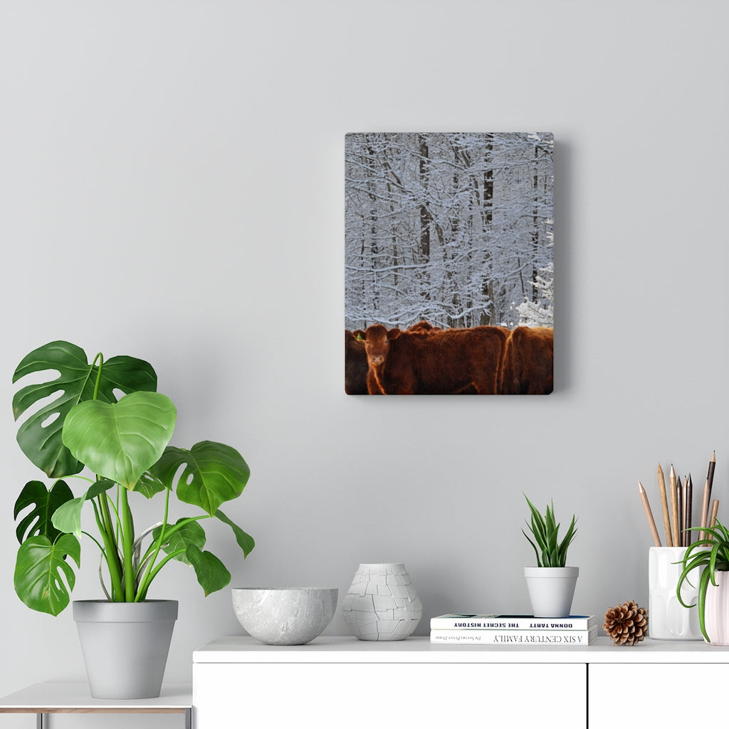 Winter Herd Stretched Canvas