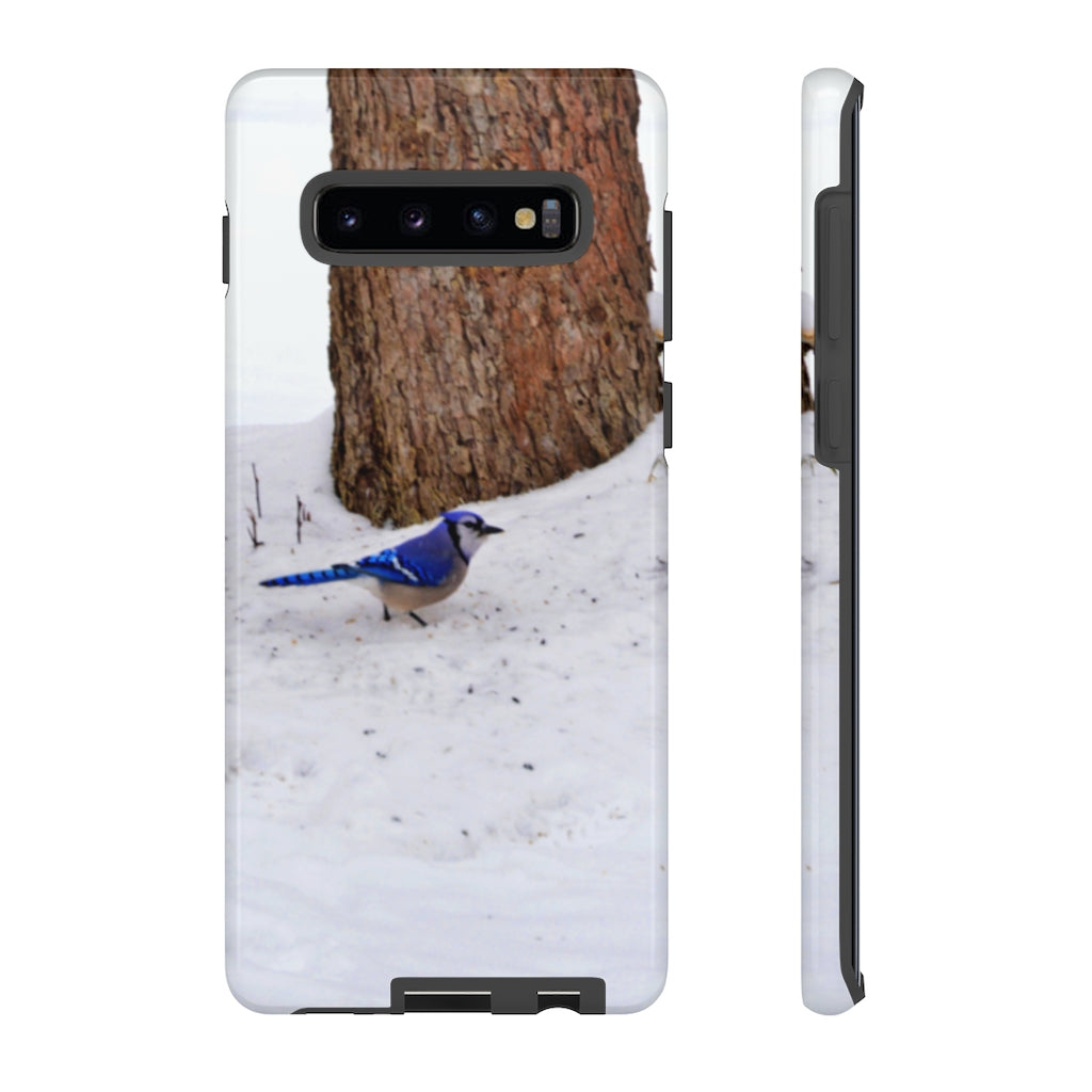 Blue Jay on the Ground Mobile Phone Case for iPhone and Samsung Galaxy