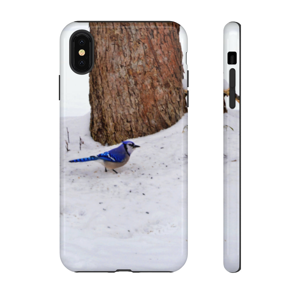 Blue Jay on the Ground Mobile Phone Case for iPhone and Samsung Galaxy