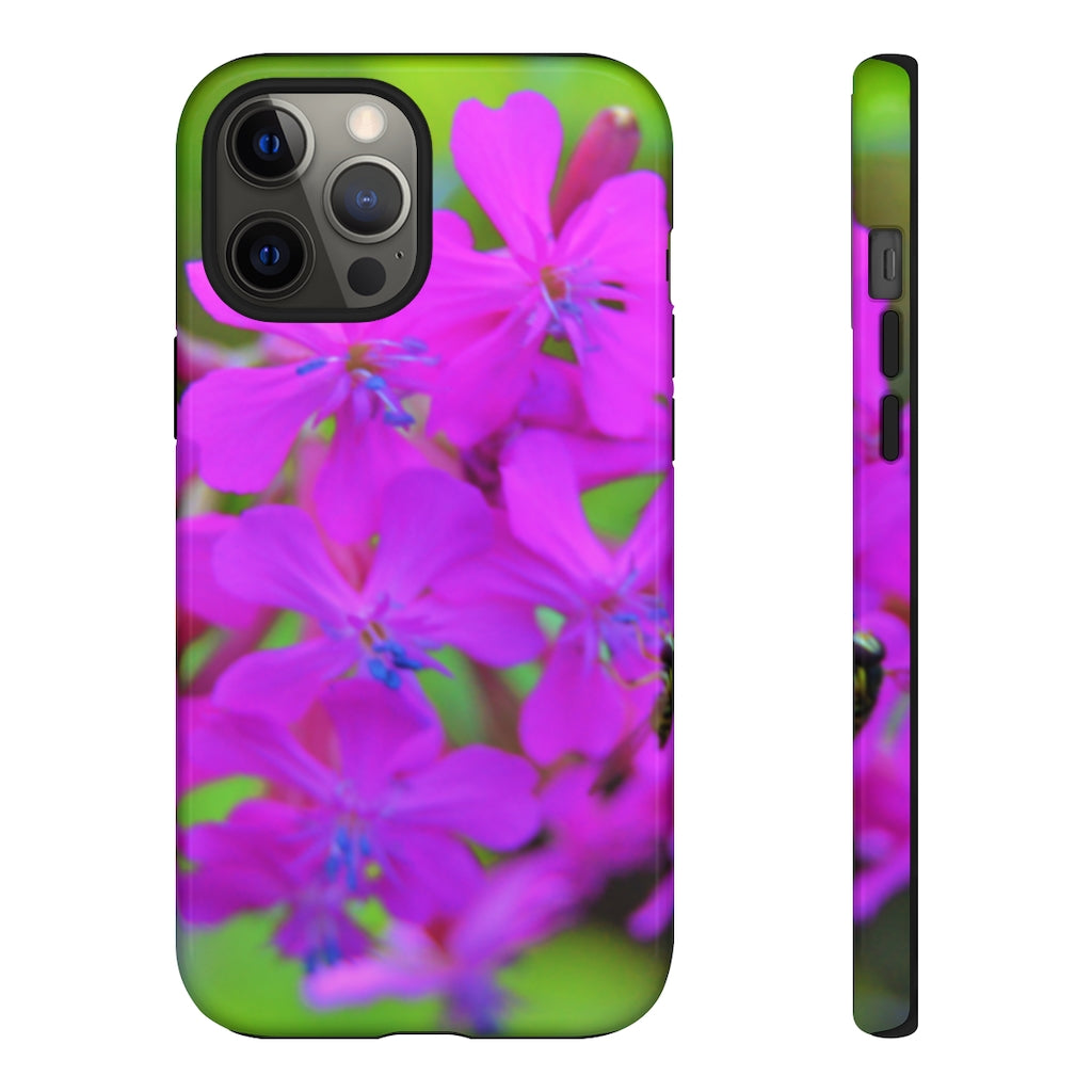 Sweet William Catchfly Mobile Phone Case for iPhone and Samsung Galaxy