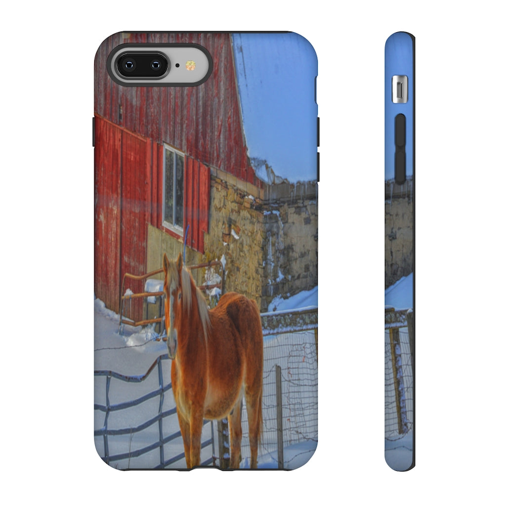 Haflinger in Winter Mobile Phone Case for iPhone and Samsung Galaxy