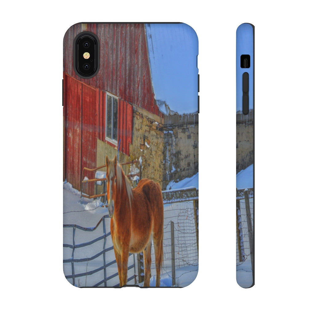 Haflinger in Winter Mobile Phone Case for iPhone and Samsung Galaxy