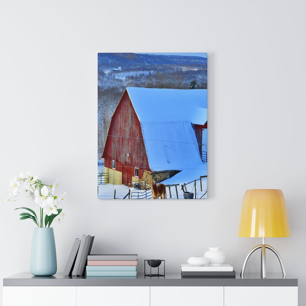 Barns and Horses Stretched Canvas