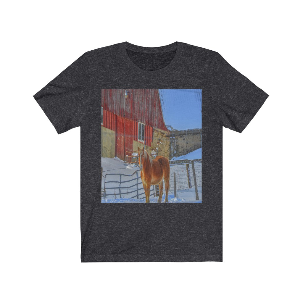 Haflinger Horse Unisex Jersey Short Sleeve Tee